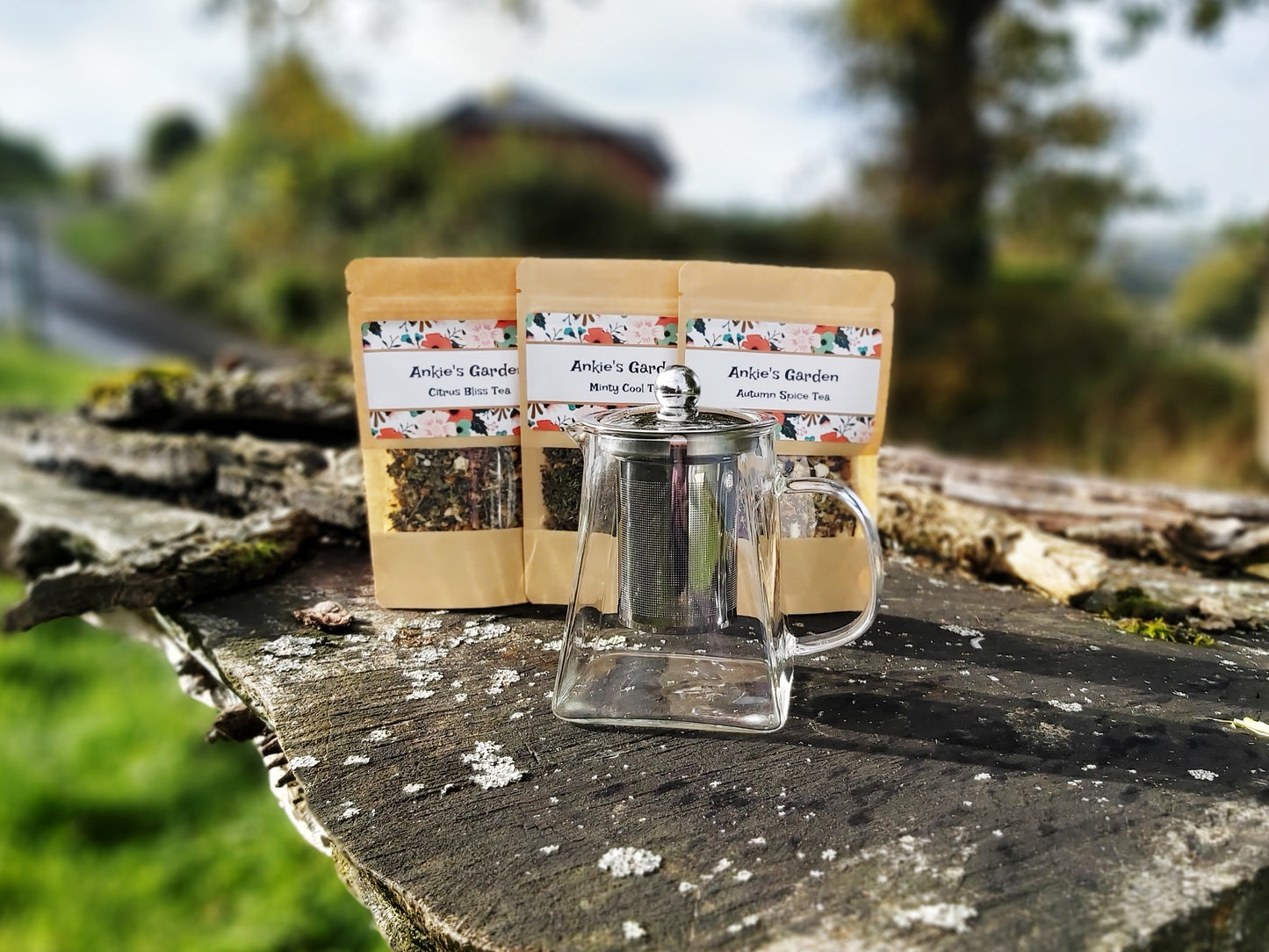 Herbal Tea Infuser Gift Set