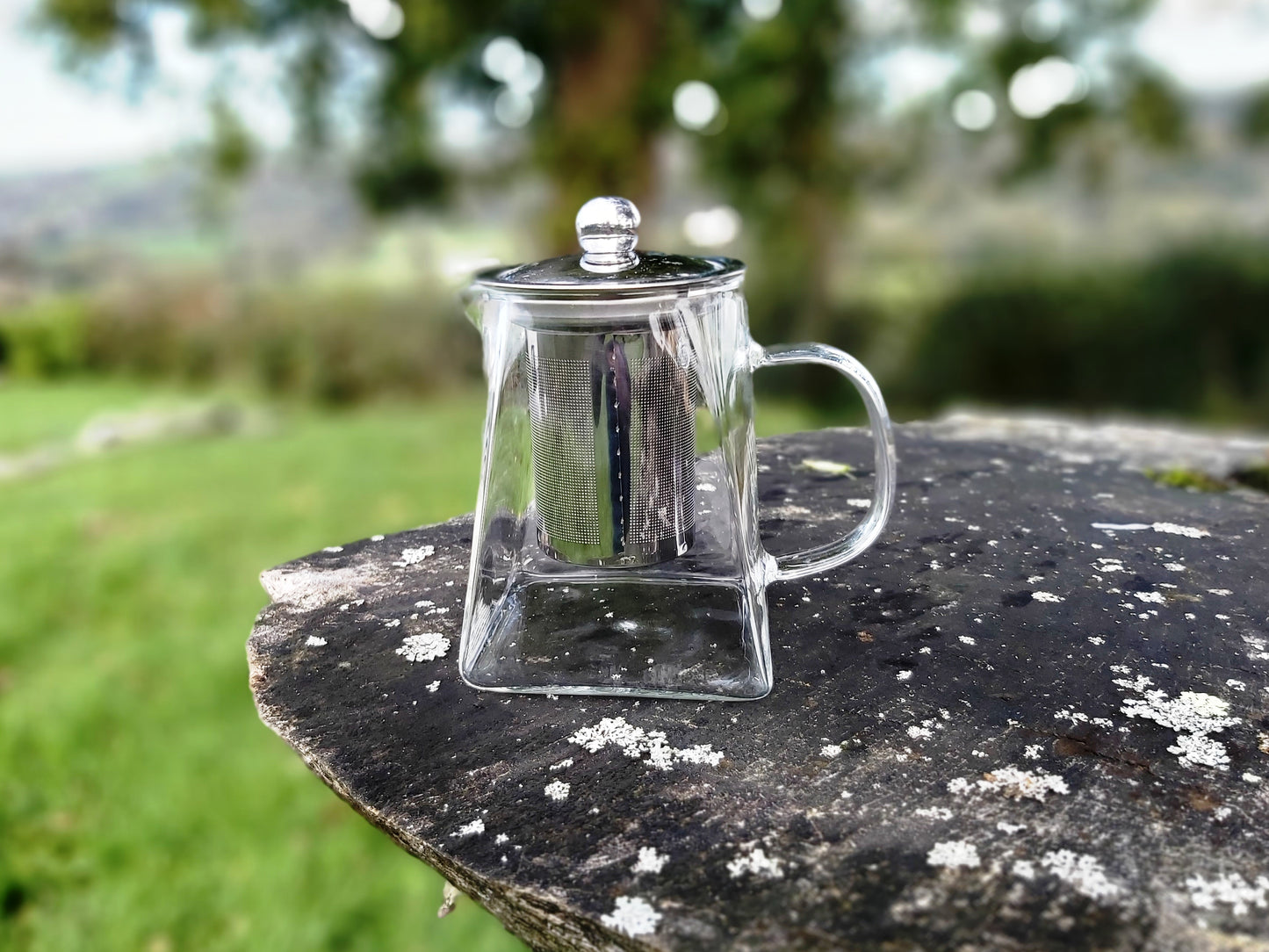 Glass Teapot Tea Infuser 500ml